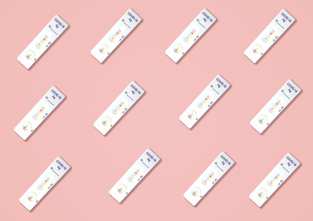 고양시 덕양구 일산동구 일산서구 신속항원검사 PCR검사 가능 병원4