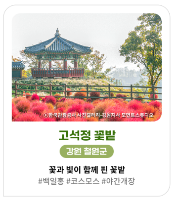 ๊ฐ์, ๊ฐ์๊ฝ ์ฌํ์ง ์ถ์ฒ