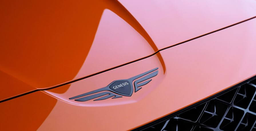 앰블럼변경-비교