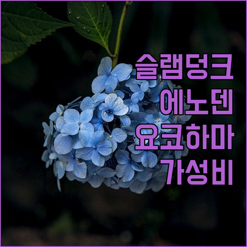 가마쿠라 슬램덩크 에노덴 투어 1박 ..