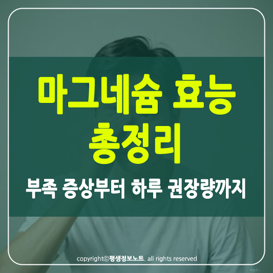 마그네슘 효능 썸네일