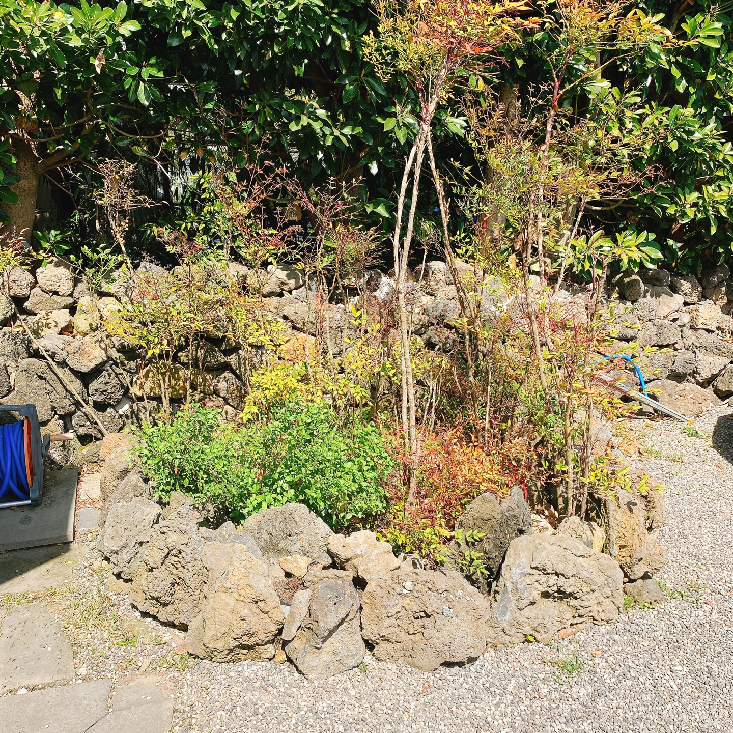 제주 조천 와흘메밀마을 하겐다즈아몬드아포가토 트라인커피 조천카페