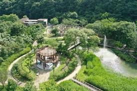 여름에 걷기 좋은 숲길 10