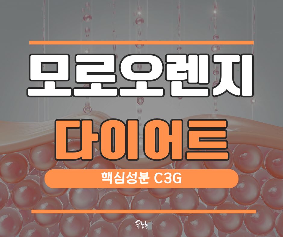 모로오렌지 다이어트