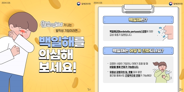 백일해 및 백일해 감염경로