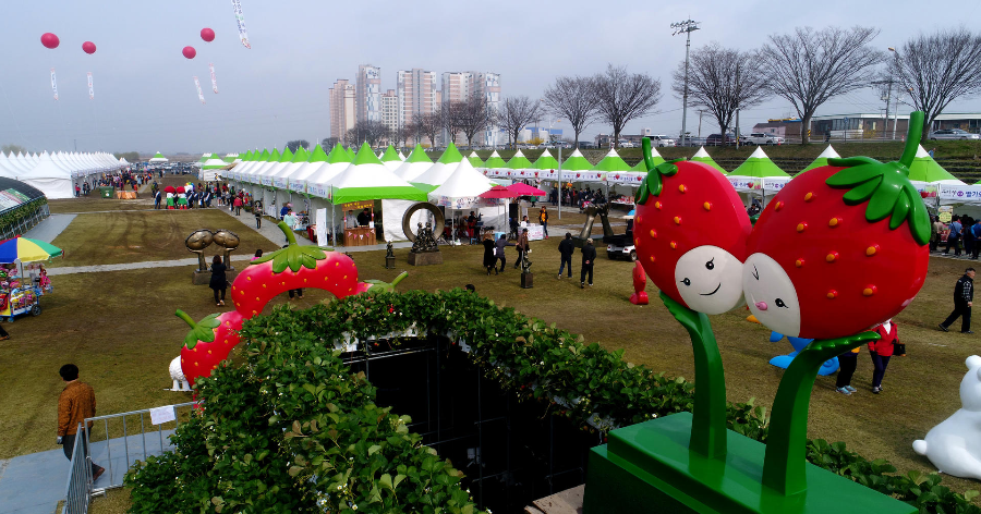 논산딸기축제