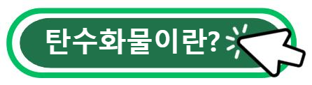 탄수화물이란?
