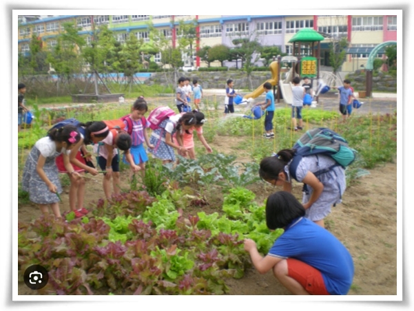 &quot;9월에 심기 좋은 텃밭 작물&quot; 풍성한 수확을 위한 최고의 작물 선택과 관리 비법!