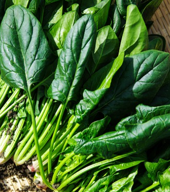 글루타치온 많이든 음식 27