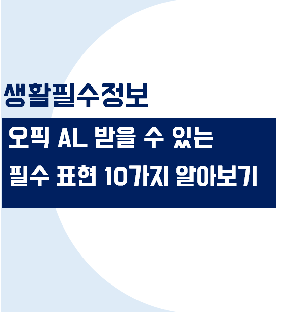 오픽 AL 받을 수 있는 필수 표현 10가지 알아보기 (오픽 AL 표현)