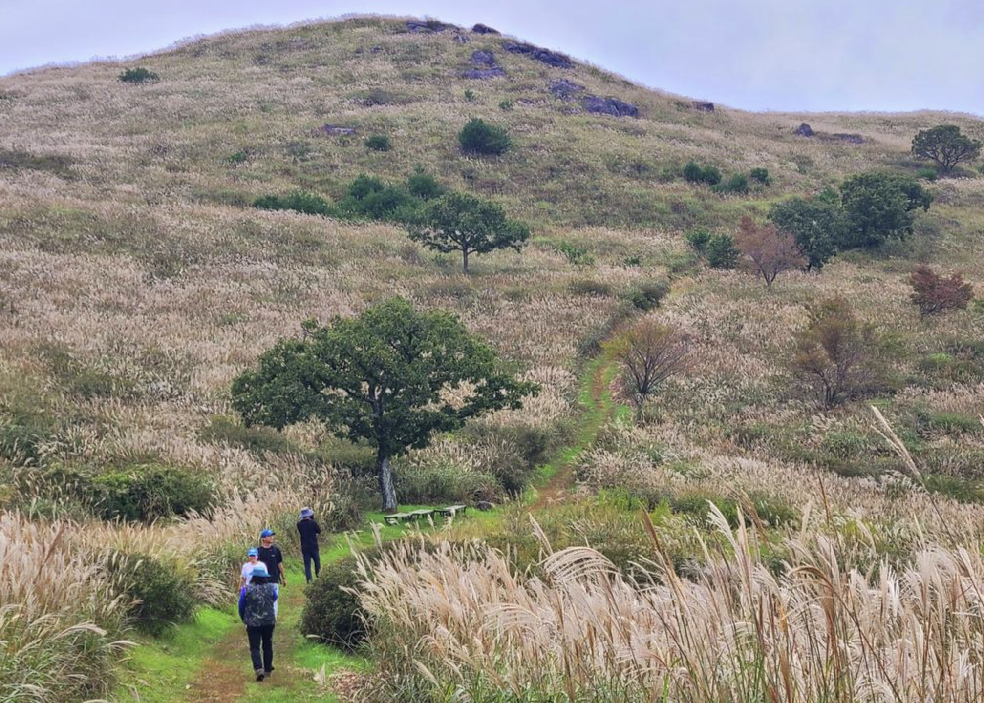 황매산 억새축제