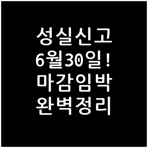 성실신고확인제도 핵심 내용 및 6월 ..