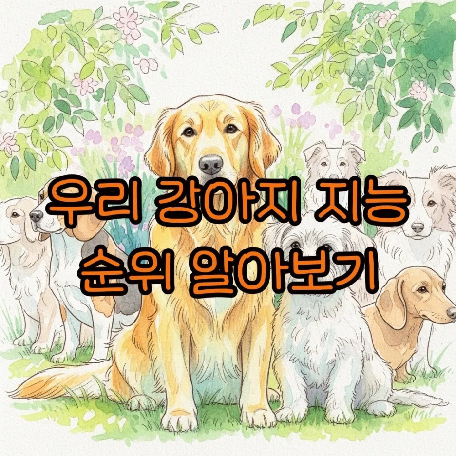 다양한 강아지들이 따뜻한 햇살 아래 모여 있는 평화로운 풍경