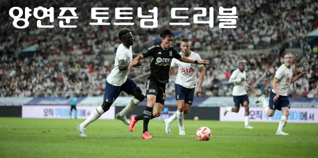 강원 양현준 토트넘 