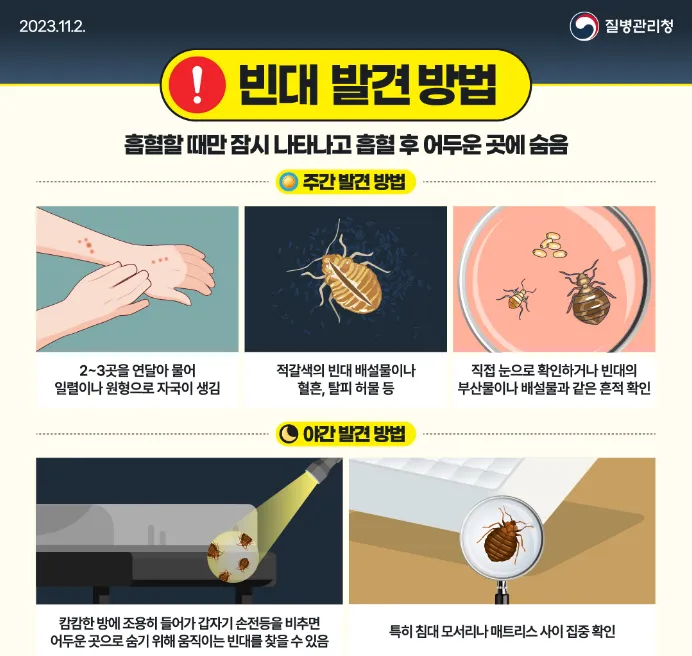 빈대 발견 방법