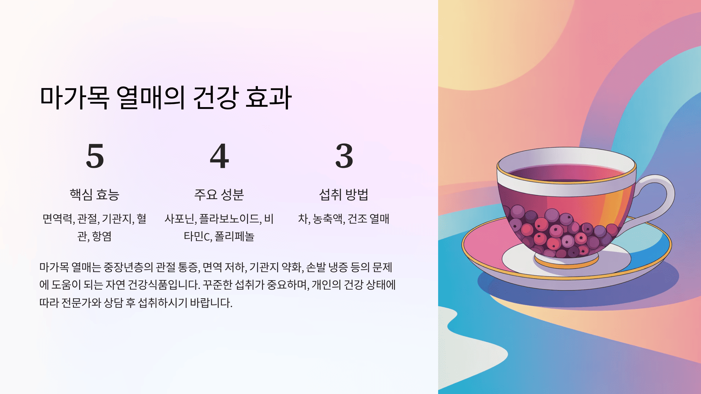 마가목 열매 효능, 면역·관절 건강에 효과? 주의사항 총정리