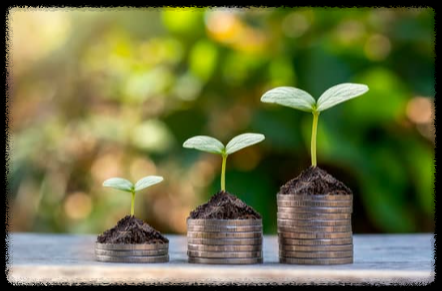 중고등학생 성장기 영양제