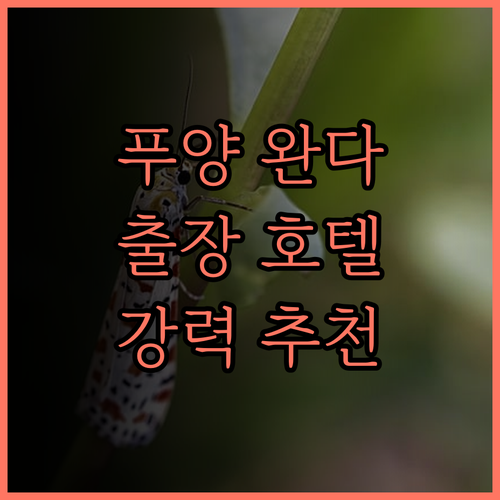 푸양 완다 렐름 호텔 후기 출장객에게