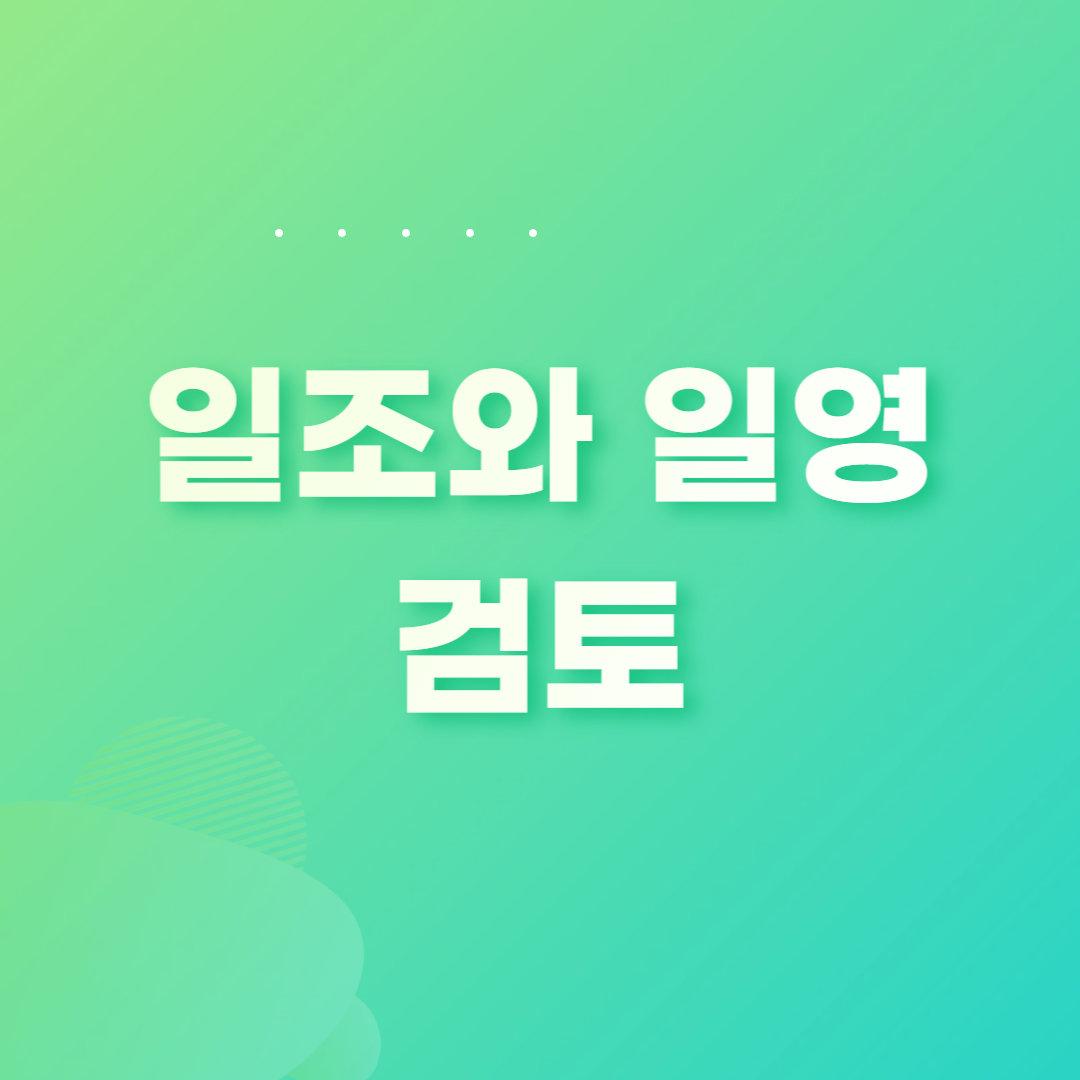 일조와 일영 검토