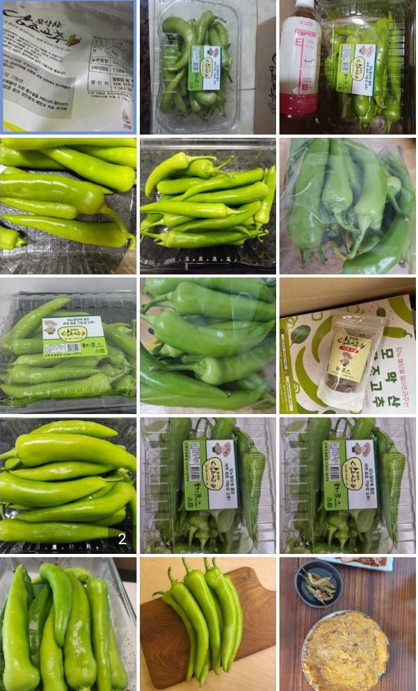 당조고추-모악산-당뇨고추-농부의꿈