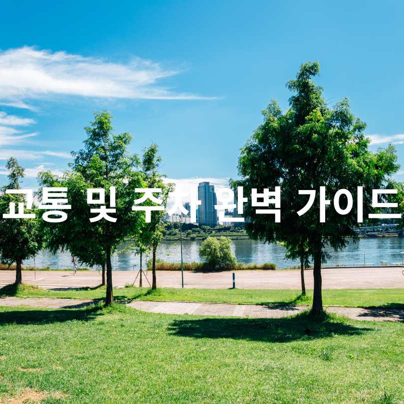 2025 한강 무릉도원 축제 완벽 가이드