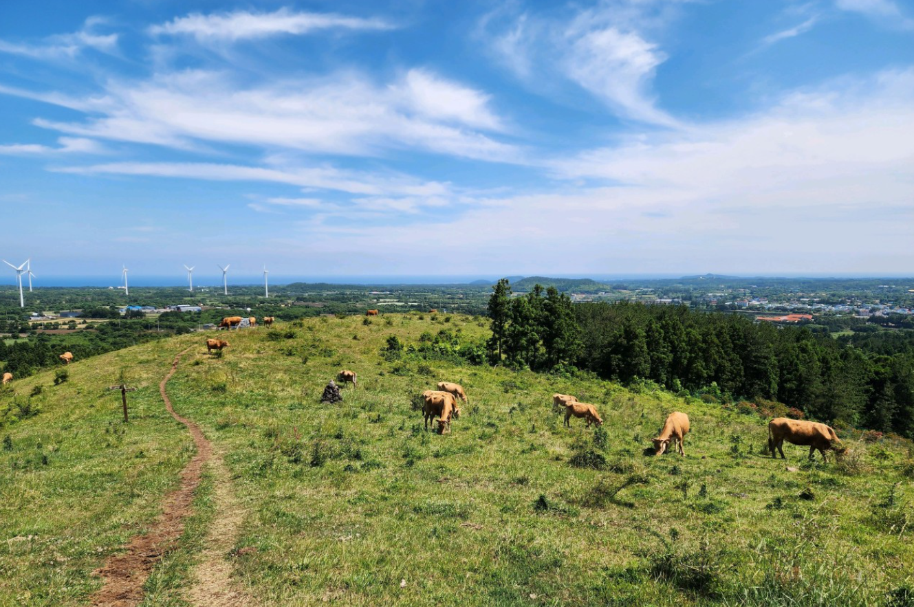 제주 가볼만한곳 베스트 10