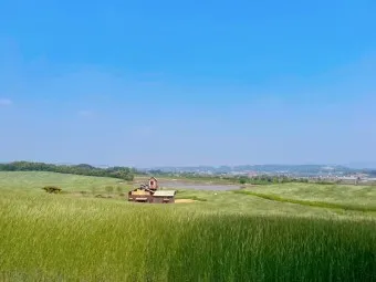 안성 가볼만한곳 베스트10 여행 당일치기 코스_17