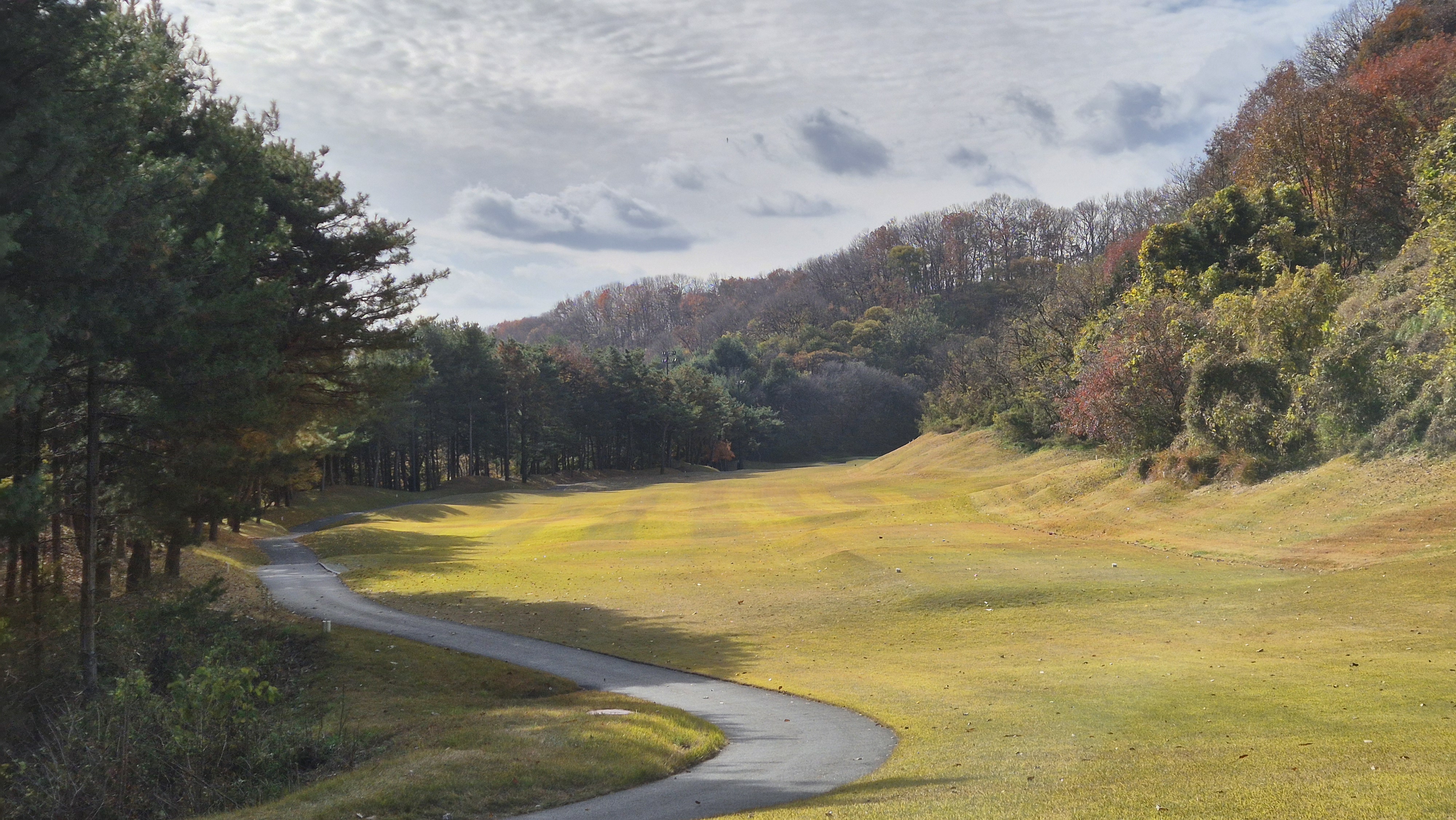 세종에머슨cc 마운틴코스 사진 및 공략 정보