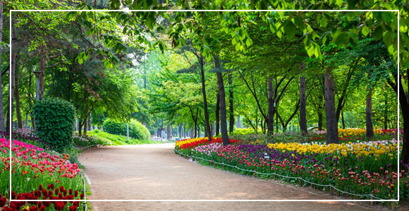 서울숲 이미지 출처: 성동구 홈페이지