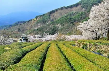 장기요양보험 급여 종류 및 지원 내용11