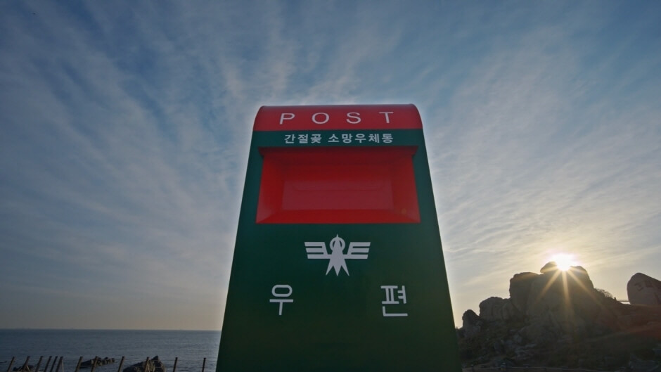 2024 해맞이 행사, 축제