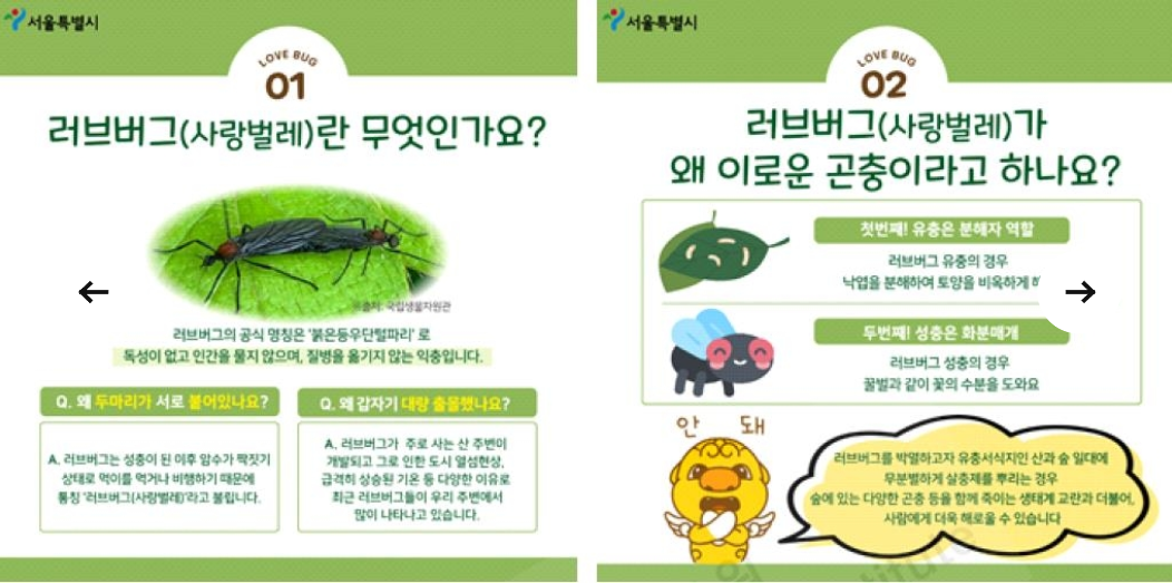 러브버그