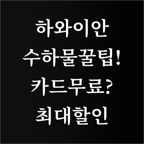 하와이안 항공 마일리지 회원 수하물 ..