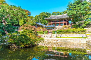 창덕궁 달빛기행 예약 바로가기