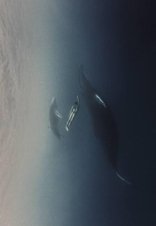 나탈리 카르푸셴코