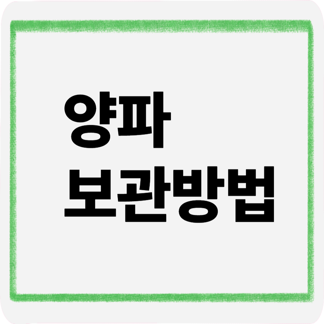 양파보관방법