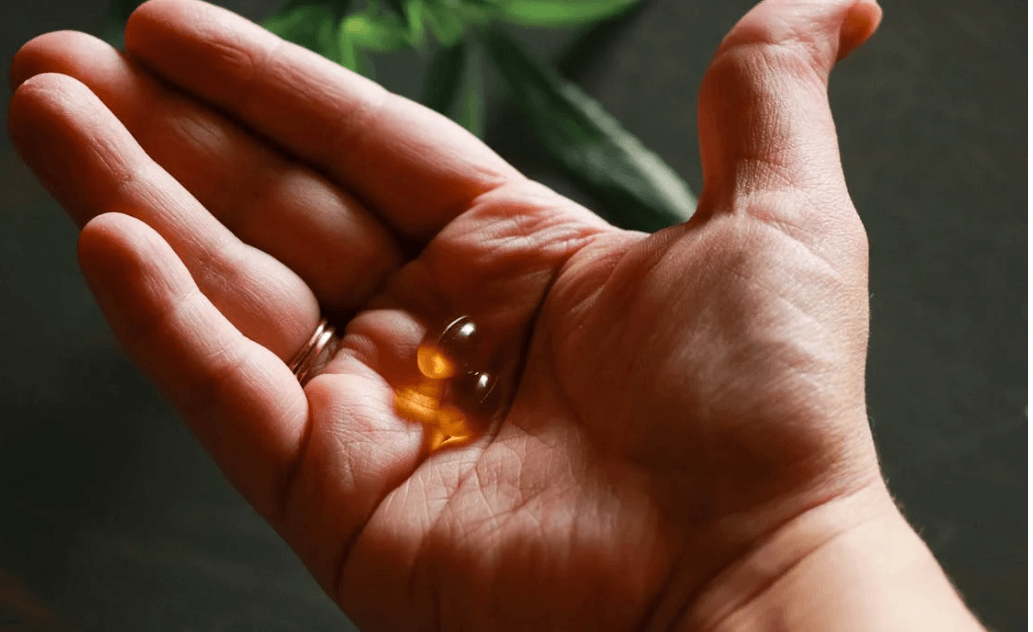 오메가 지방산 영양제 사진