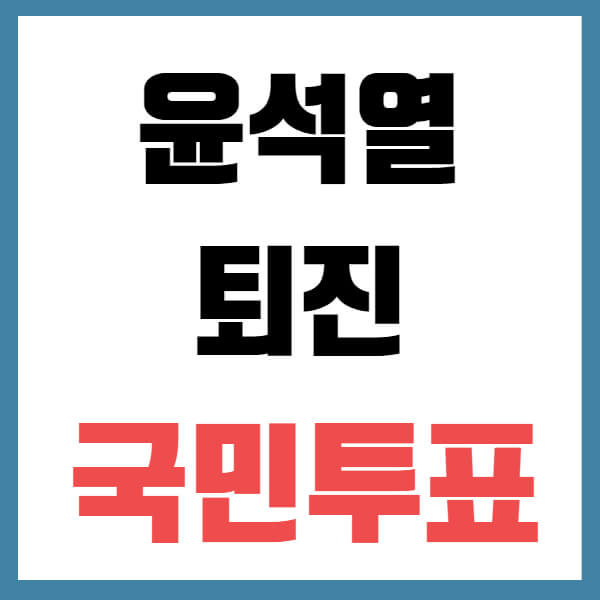 윤석열 퇴진 국민투표