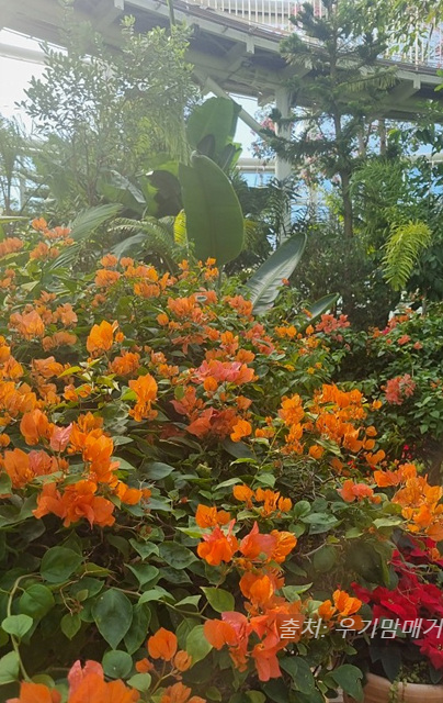 24년 순천만 국가정원 식물원 동문 순천여행