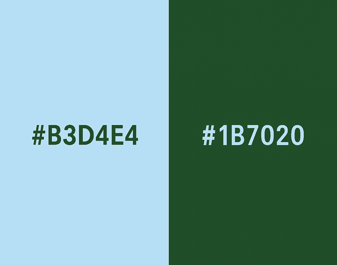 컬러 조합 배색 추천 코드 BEST12