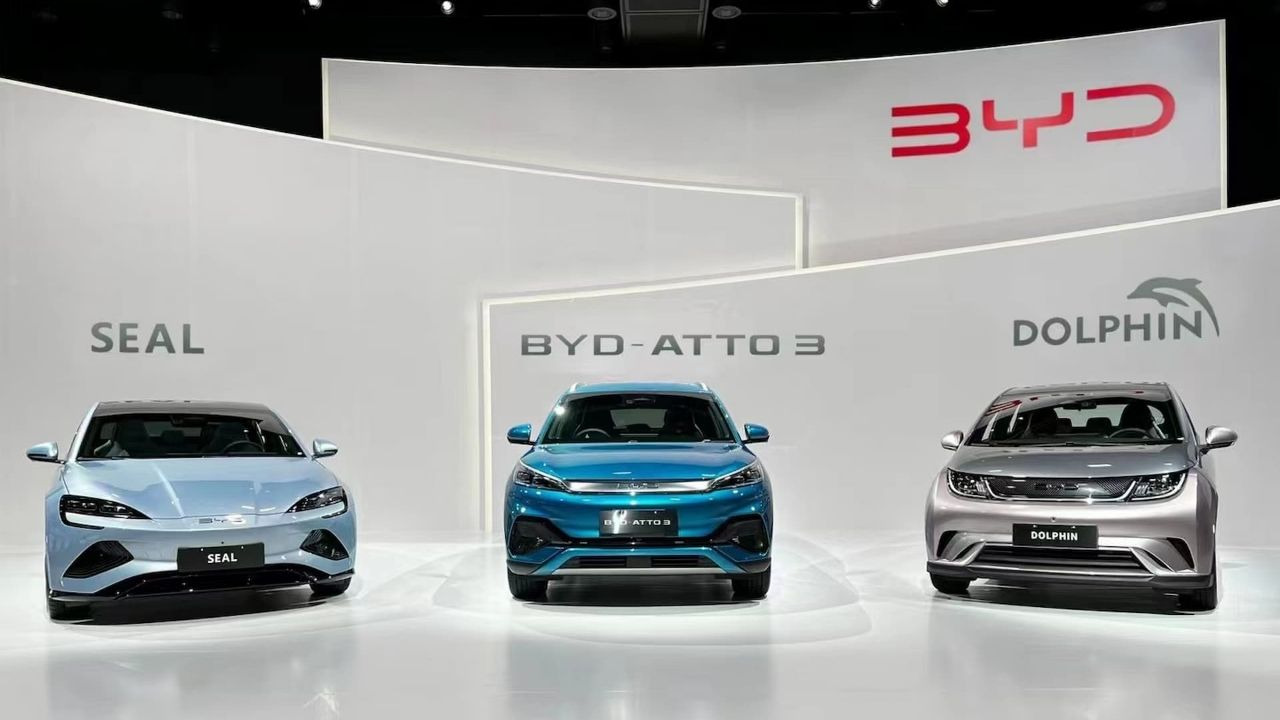 BYD 차종