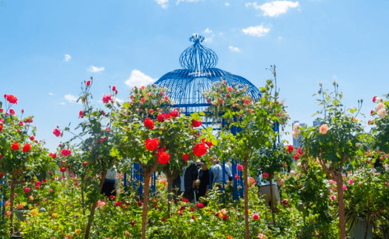 서울국제정원박람회