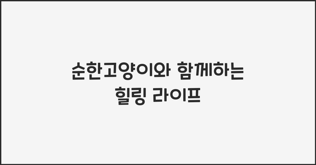 순한고양이