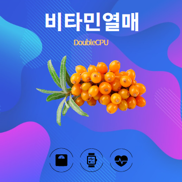 비타민열매 알아보기