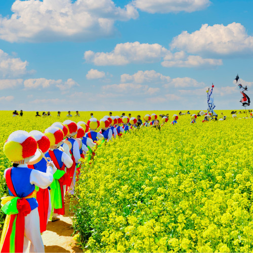 2025 고창 청보리밭 축제