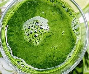 콜레스테롤 수치 감소 음식