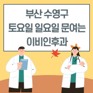 부산 수영구 토요일 일요일 이비인후과 진료 병원 리스트