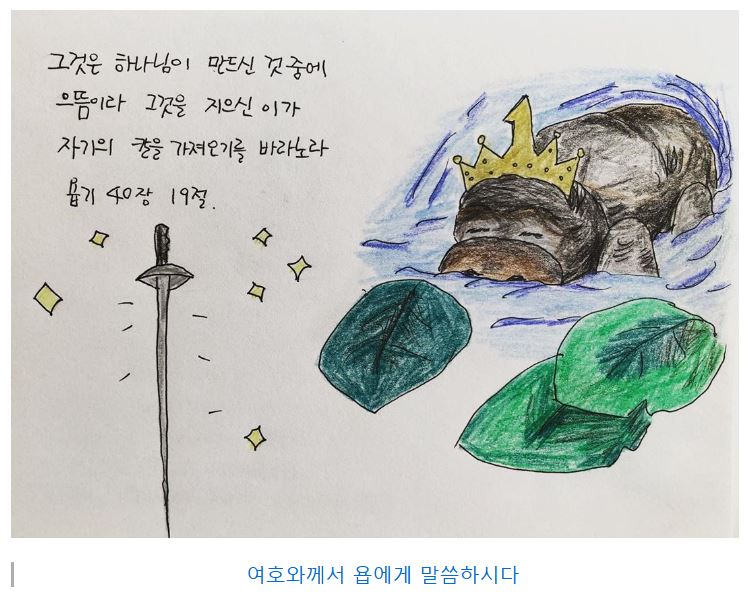 욥기 40장