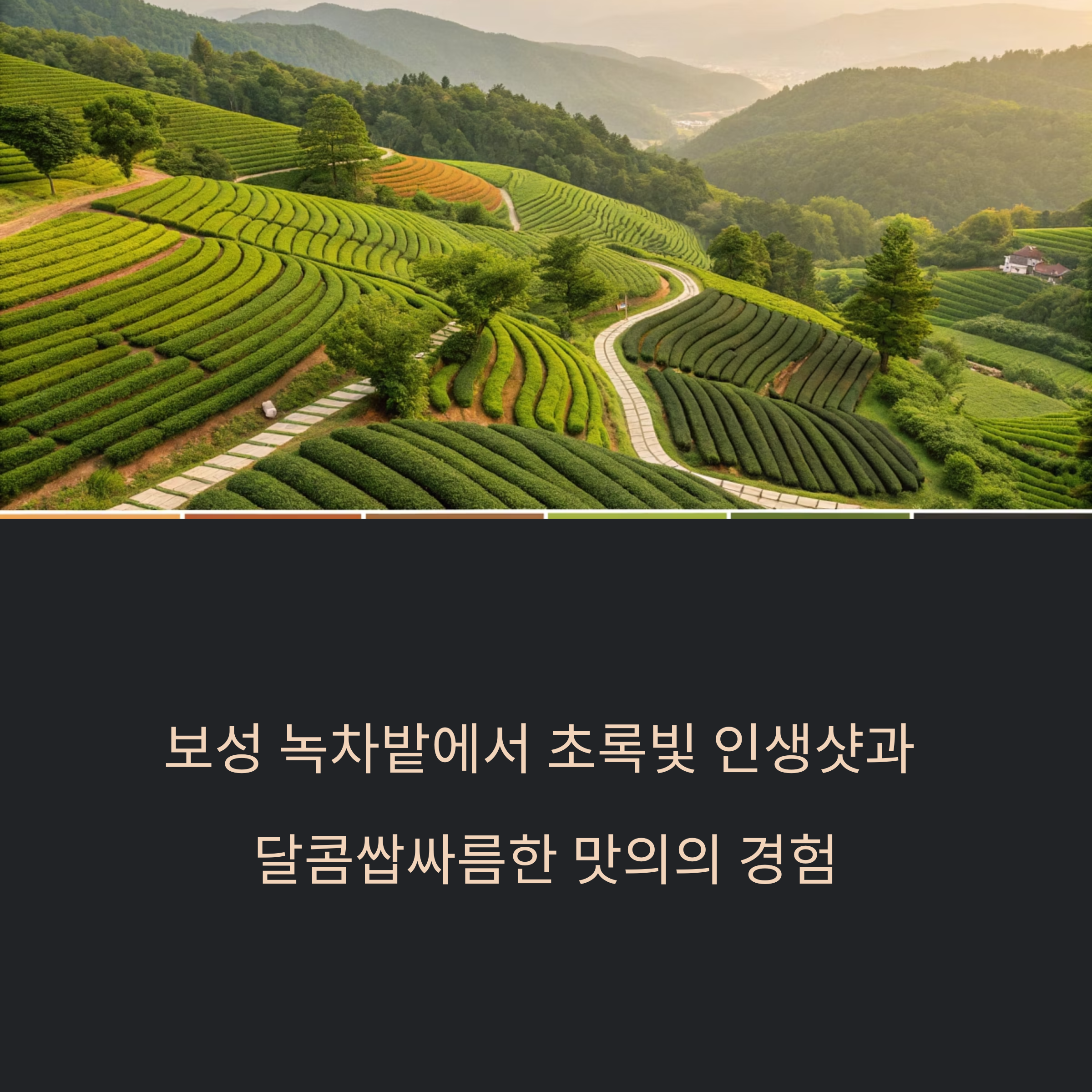 보성 녹차밭에서 맛보고 찍고 즐기는 녹색 힐링 여행