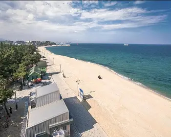 연곡 솔향기 캠핑장_2